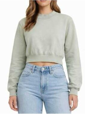 Aritzia TNA Cozy Perfect Fleece Crew Neck- Sage